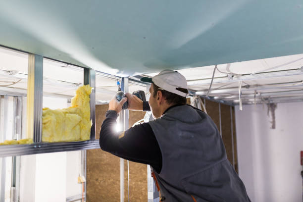 Best Insulation Maintenance and Repair in West Bountiful, UT